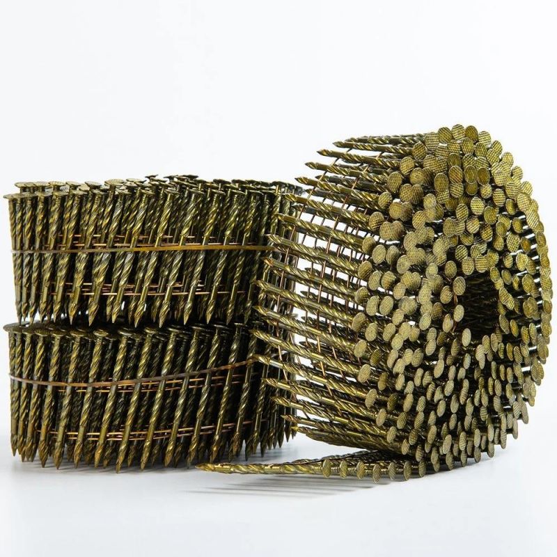 Electro Galvanized Coil Nails Company Sale Nails for Pallet Fence Furniture