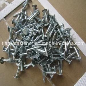Large Flat Head Clout Nail Roofing Nail for Africa Market Head 8mm Stick Dia 3.15, Length Is 40mm