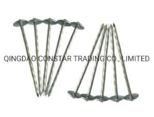 Size Bwg9*2.5&quot; Galvanized Umbrella Twist Smooth Shank Roofing Nail