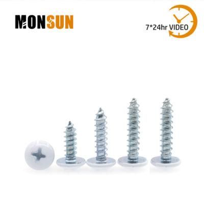 Painted Mushroom/Flat/Pan Head Bright Zinc Self Tapping Screw for Metal