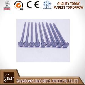 Common Nail/Wire Nail/Iron Nail