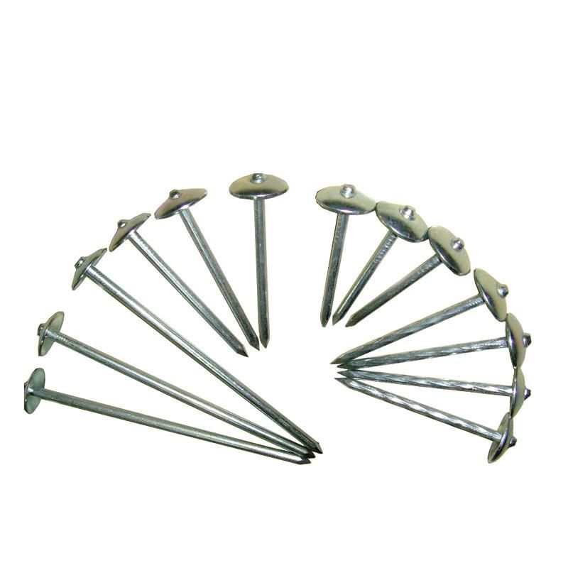 Twist Shank Roofing Nail with Umbrella Head in Guangzhou