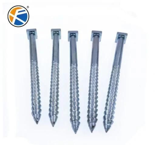 China Factory Carbon Steel Zinc Plated Square Head Umbrella Wood Screw