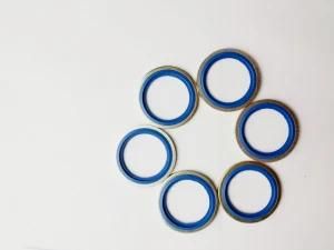 Metal with NBR Rubber Gasket/Bonded Sealing Washer