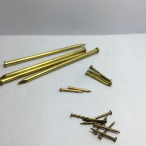 Galvanized Flat Head Common Nail / Custom Made
