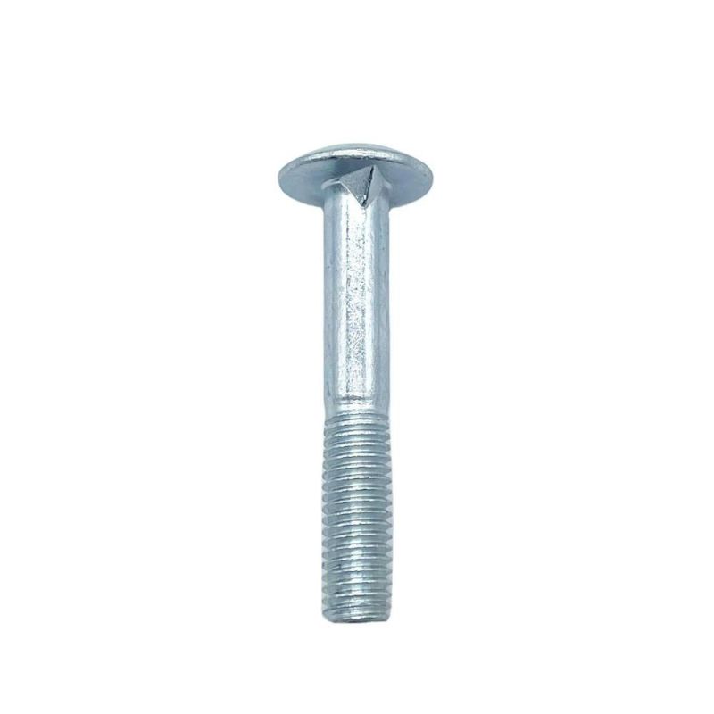 Popular Steel Carriage Bolt 307A