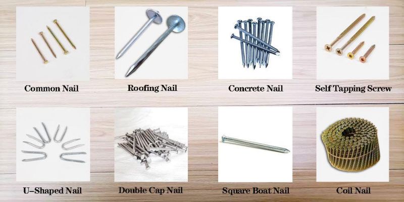 Grade Galvanized Steel Screw Bolt & Nut Concrete /Wholesale Collated Roofing/ Moulding Insulation/Nails