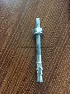 Stainless Steel/ Galvanized/Through Bolt/ Expansion Bolt /Wedge Anchor Bolt