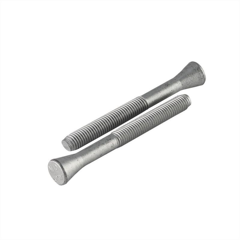Stainless Steel Hex Bolt/Carriage Bolt/Anchor Bolt/T Bolt/Square Head Bolt/Hex Socket Cap Screw/Square Bolt/Wing Bolt/Eye Bolt/Knurled Bolt/U Bolt