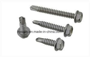 Hex Head Self Drilling Screw Self Tapping Screw DIN7504