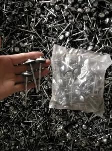 Umbrella Head Roofing Nails for South America Market