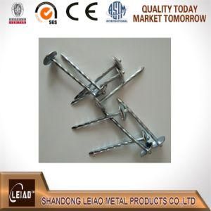 Roofing Nail with Big Umbrella Head