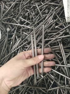 Q195 Polished Common Nail