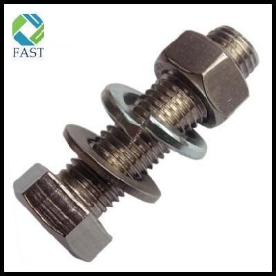Made in China Stainless Steel Fastener Hex Bolt and Nut