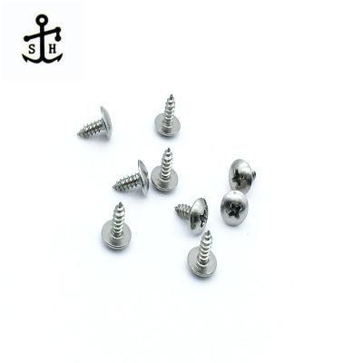 ISO 7049 All Sizes M2.9 Stainless Steel Phillips Cross Recessed Pan Head Self Tapping Screws Made in China