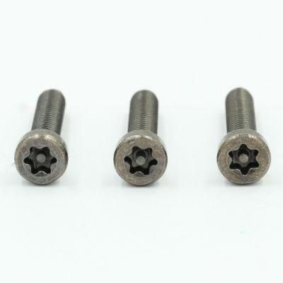 Stainless Steel SS304 Torx Button Head Security Screw