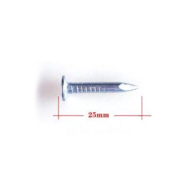 Hot Sale Size 1&quot; Clout Nails Roofing Nails From Golden manufacture