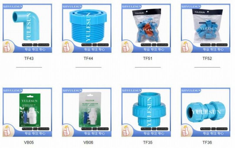 DIN or ASTM Sch40 Sch80 Standard Plastic PVC CPVC One Piece Flange