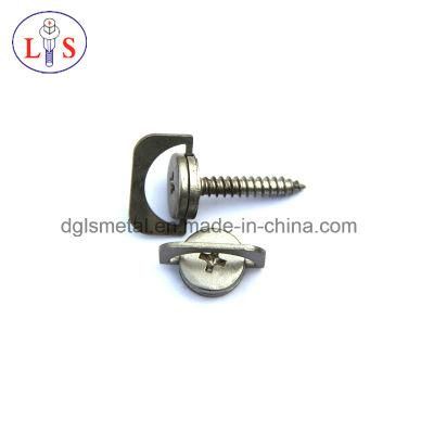 Customized Screw with High Quality