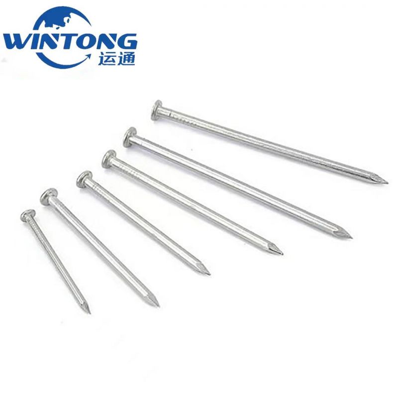Cement Black Steel Concrete Nail Factory