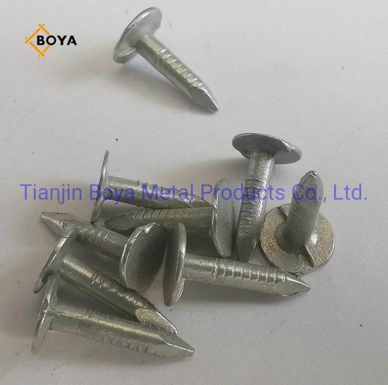 Flat Head Clout Roofing Nail for Construction in Tianjin Supplier