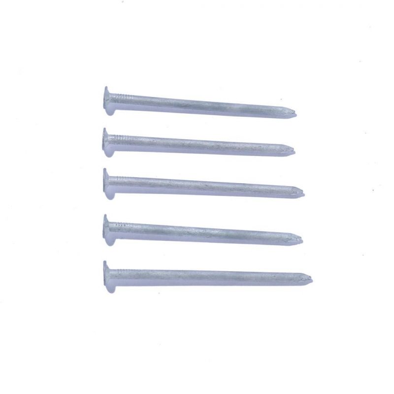 Galvanized Common Round Iron Nail Clavos 10mm Iron Wire Common Nail