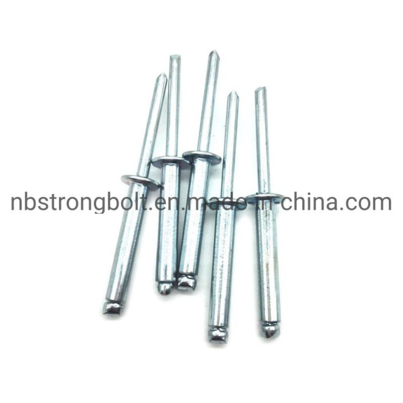 Steel Rivet From China