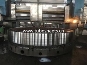 Large Size Flange /Stainless Steel Flange