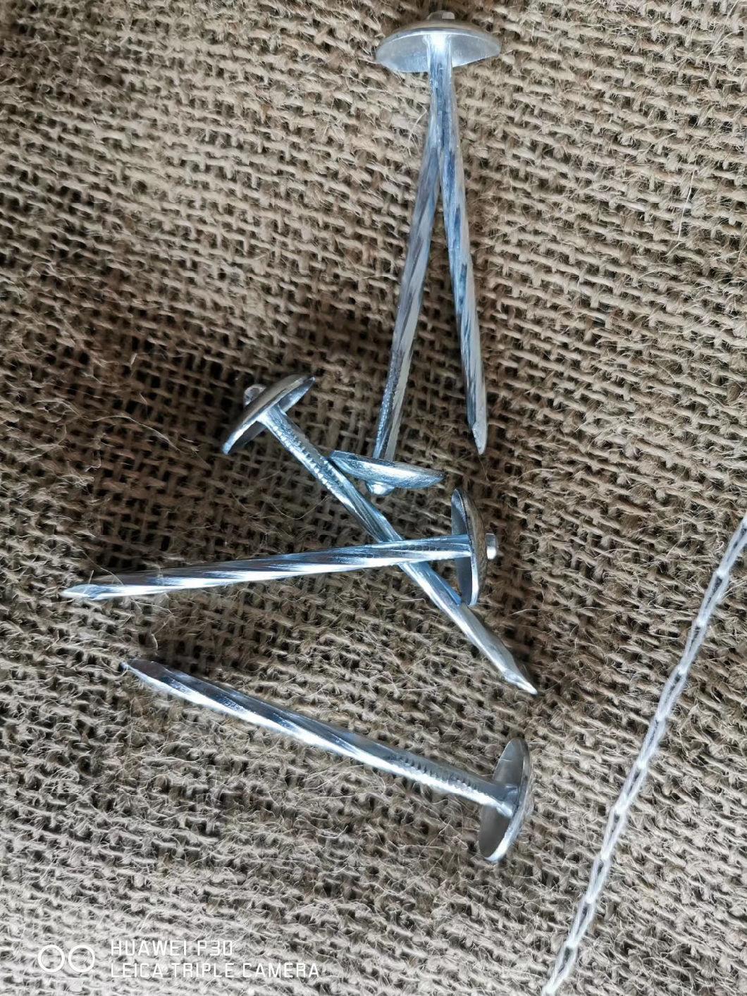 Smooth Shank 9bwg X 2.5inch Roofing Nails/Umbrella Head Nails Selling to All The World