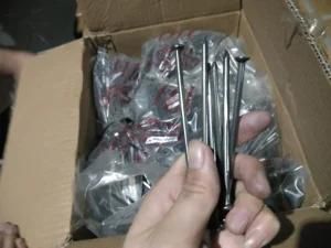 Fastener and Hardware Nail Factory Common Iron Wire Nails