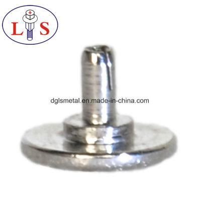 China Supplier Auto Fastener Non-Standard /Customized Rivet