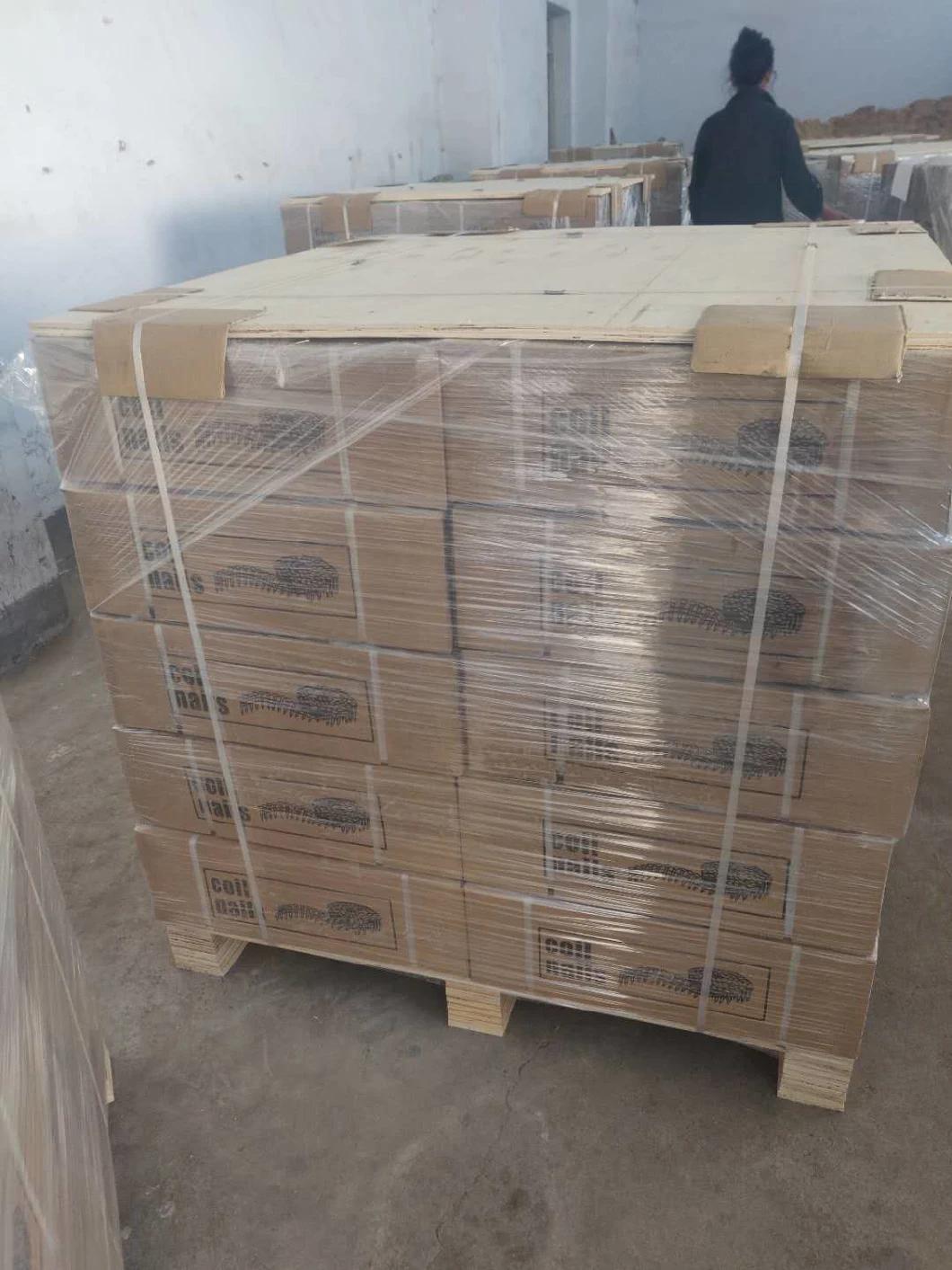 Pneumatic Galvanized Roofing Pallet Coil Nails for Pallets