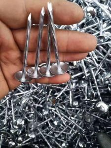2.5 Inch Galvanized Roofing Nail