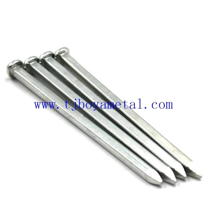 Square Boat Nail Iron Nail Price E. G Polished H. D. G Bright White Sliver Iron Raised Head Square Boat Nail