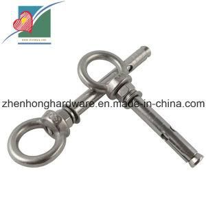 Stainless Steel Anchor Bolt with Eye Expansion Bolt