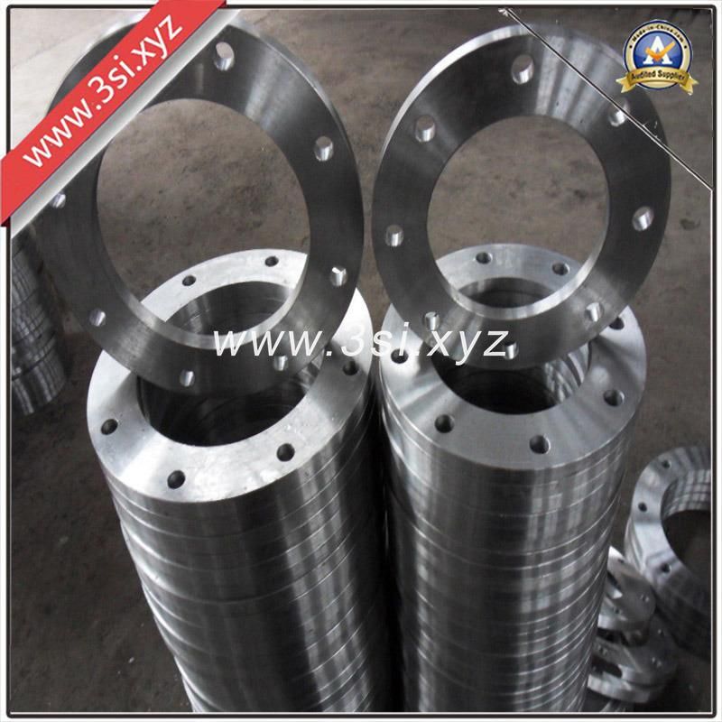 Stainless Steel Forged Plate Flange (YZF-E436)