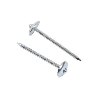 Big Umbrella Head Roofing Nail with Smooth/Twist Shank