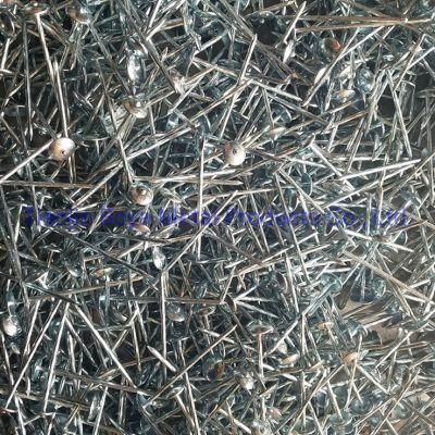 Screw Shank Roofing Nail with Umbrella Head in Material Q195