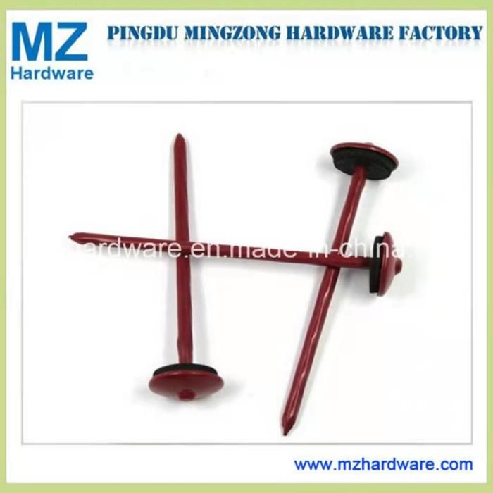 Eletro-Galvanized Nail Screw Shank Nail Roofing Nail with Factory Price