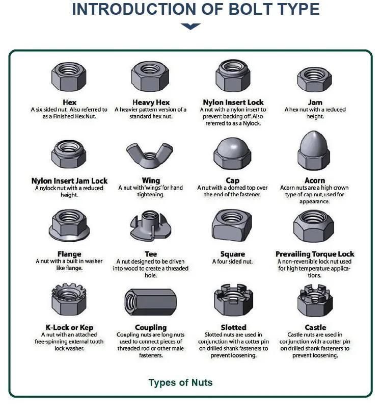 China DIN 934 Carbon Steel or Stainless Steel 304/316 Hex Nut and Different Types of Steel Fasteners Bolts and Nuts