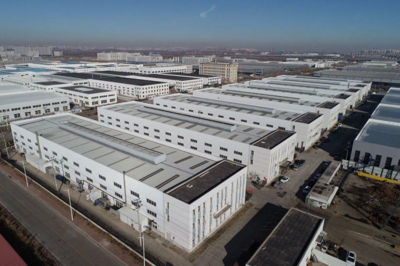 China Factory Price Coil Nails Framing Nails Wood Nails