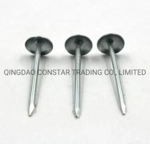 Common Steel Nail for Roofing Installation