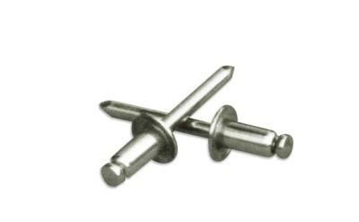 Galvanized Common Iron Nail Blind Rivet