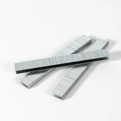 Galvanized Staples 10 Series 10f Fine Wire Staples for Furniture