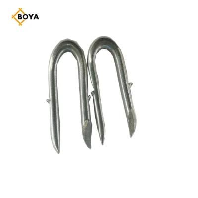 Factory Directly Supply Eg U Type Iron Nail for Fence