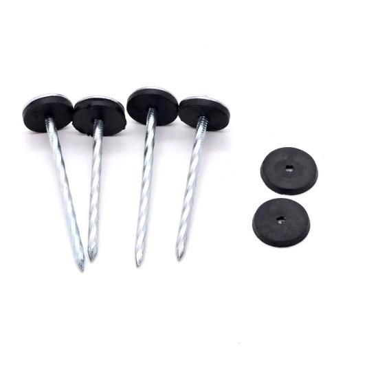 High Standard Electric Galvanized Roofing Nail with Plain Shank