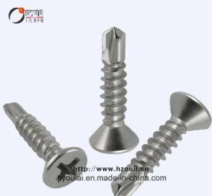 Countersunk Head Screw Self Drilling Screw Zinc Plated Fastener Building Material