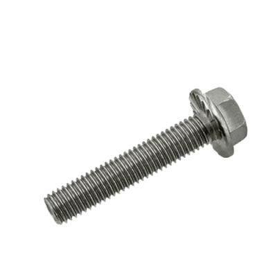 JIS-B1189 Tp270 Grade 1 Hexagon Flange Bolts for Heat Exchanger