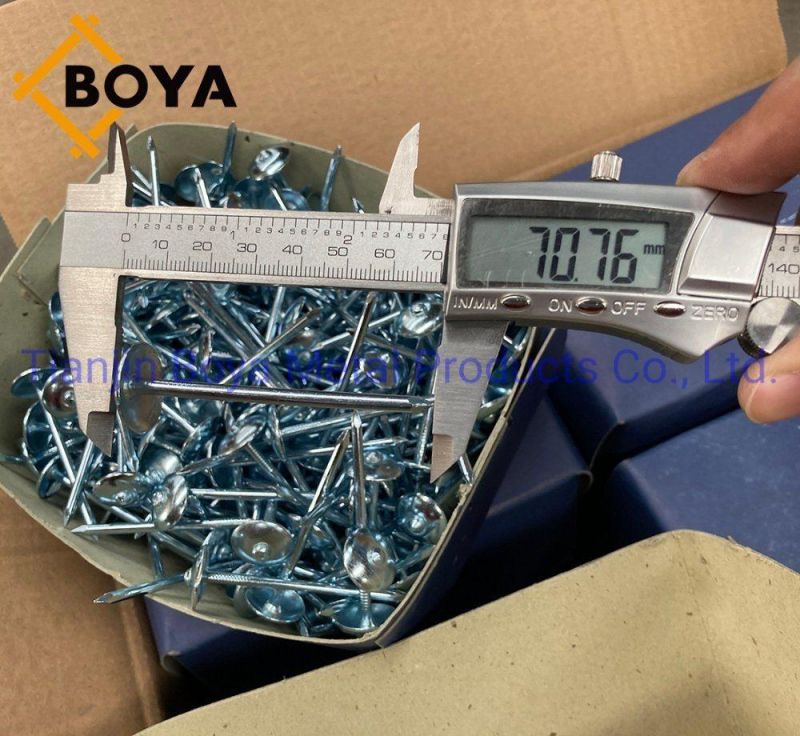 Prego Clavos / Galvanized Roofing Nails Plain and Twisted Shank