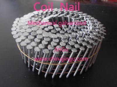 Best Quality Special Stainless Nail Coil Nail with Low Price
